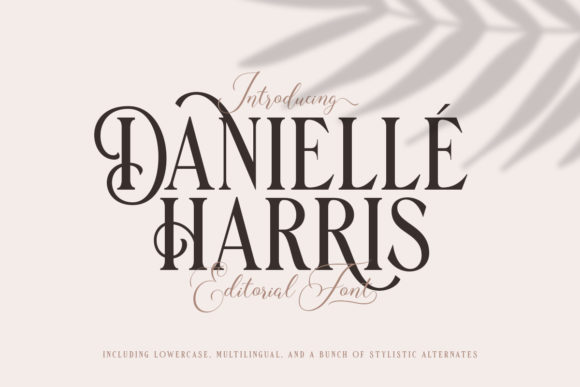 Danielle Harris: A Romantic Display Font for Branding