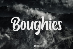 Elevate Your Digital Brand with the Bold Display Font Boughies
