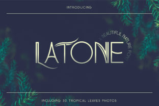Latone: The Display Font That Makes Small Brands Shine