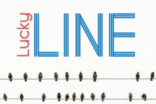 Lucky Line: A Modern Monogram Font for Stylish Digital Brands