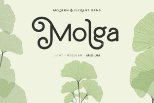 Molga: A Display Font Built for Modern Digital Presence